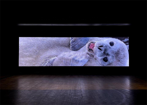 P2.5 Reklama zewnętrzna pełnokolorowa RGB LED Aluminiowy ekran do odlewania komórkowego 640x640 mm