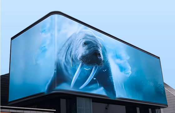 Ekran panelu LED CE Rohs P6 Wewnętrzny wyświetlacz LED Billboard do reklamy miejskiej