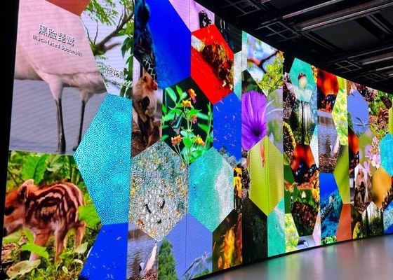 LED Soft Screen Elastyczny ekran może być zgięty i nadaje się do różnych kształtów ekranów wyświetleniowych