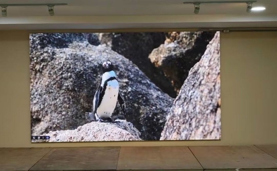 HD Die-Cast Aluminium Screen Customizable Module LED Display HD Waterproof Box 320*160mm IP65 NOVA System