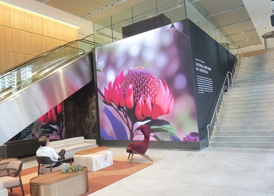Wypinacz aluminium wypożyczalny ekran RGB Outdoor HD wodoodporny LED Video Display, P8 Full Color LED TV Wall Screen