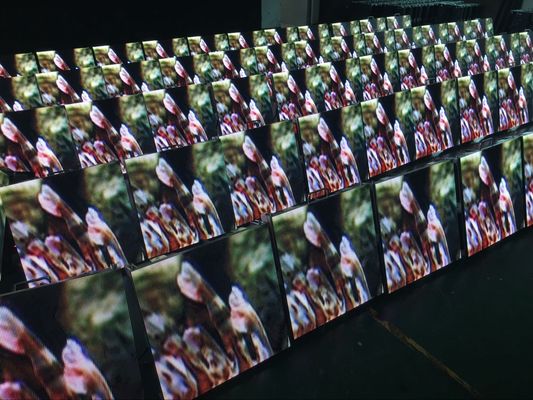 Dobra cena Wyświetlacz LED do wynajęcia na zewnątrz Wodoodporna scena Ekran ścienny 6500K-9500K w Internecie