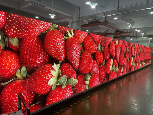 P4 SMD LED Aluminium Screen / Wnętrze Wielokolorowe Video Wall LED Display, 3 lata gwarancji