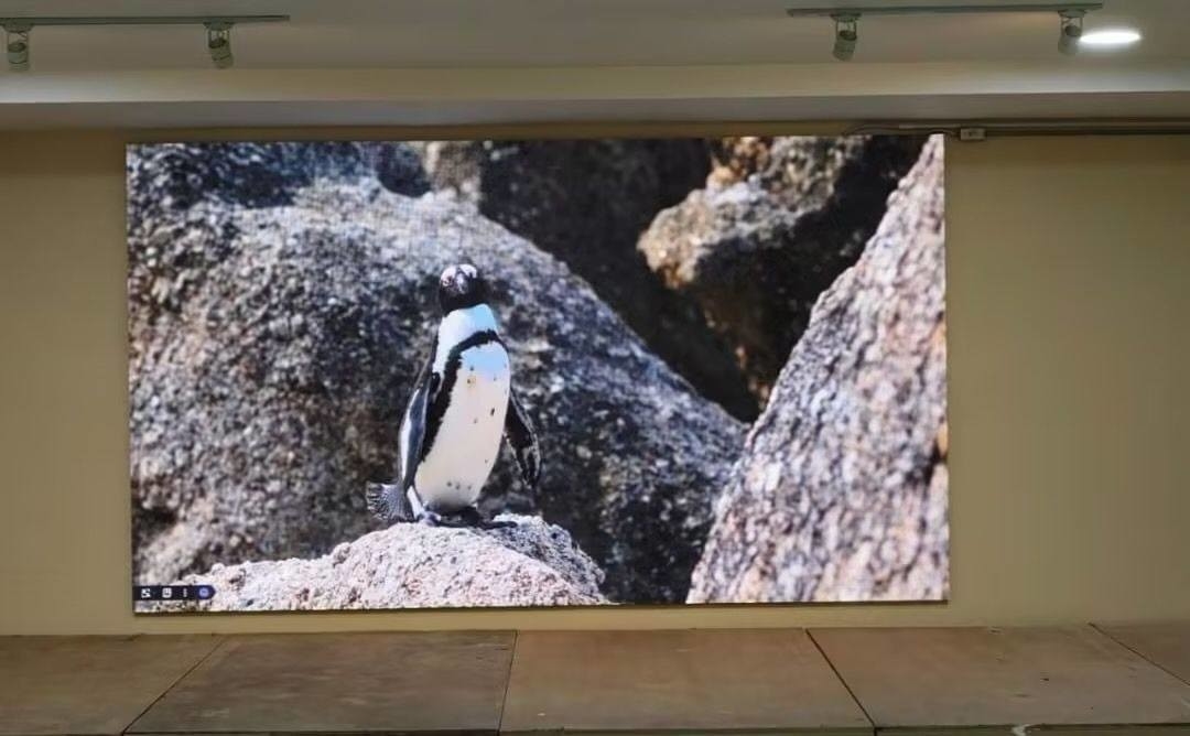 High Density 640000dots/m2 3. Fine Pixel Pitch LED Panel with Standard CE/ROHS/FCC Certification